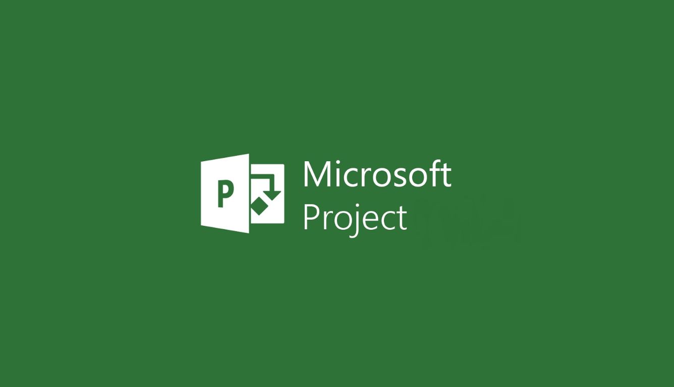 MS Project 1