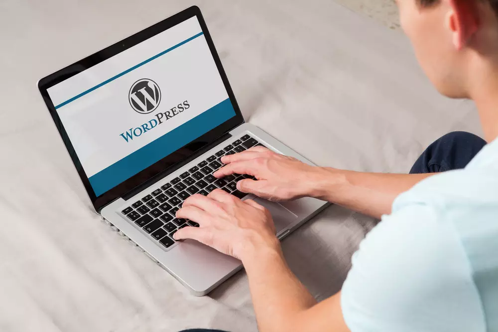 WordPress Training